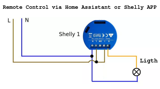 Help with Shelly Plus 1 Sensor - Hardware - Home Assistant Community